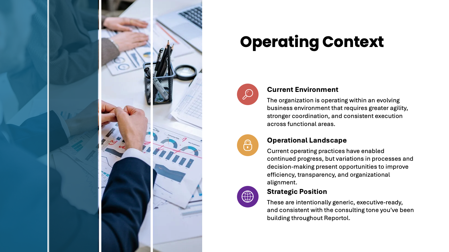 Reportol Operating Context preview